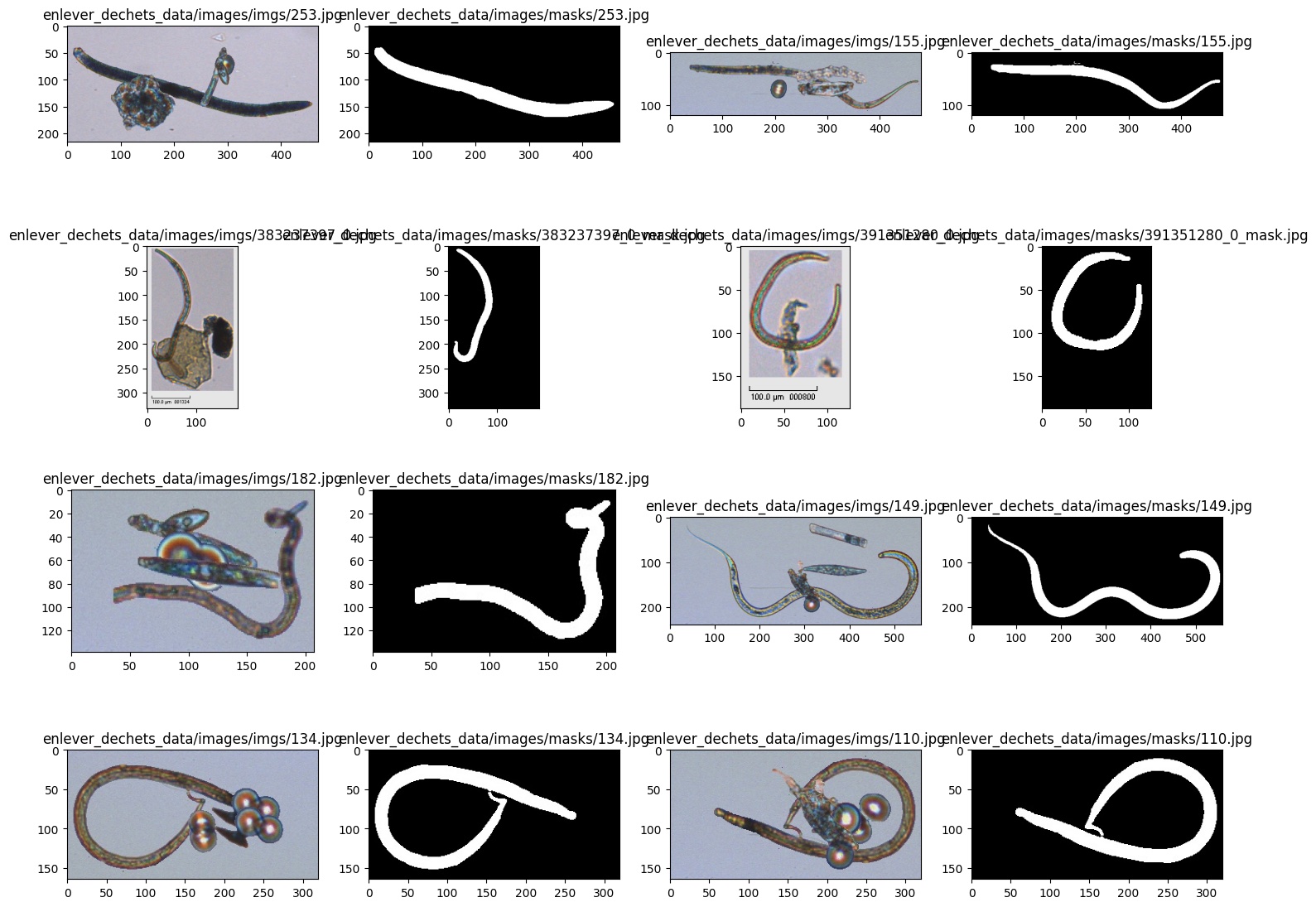 Real microscope images next to their binary masks